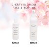 japanese head spa cherry blossom scalp care